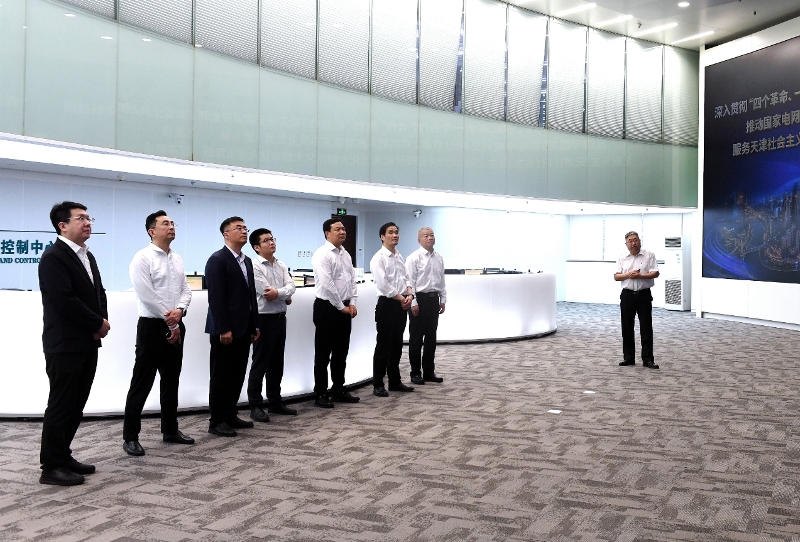 国网发展部到公司调研