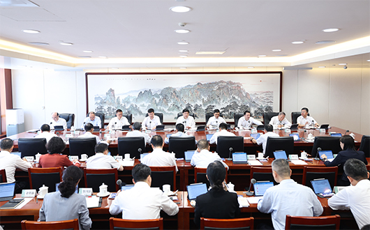 公司党组理论学习中心组集体学习习近平总书记重要论述、重要指示批示、重要文章精神