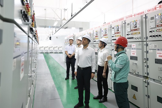 庞骁刚总经理赴国网冀北电力检查迎峰度夏供电保障工作