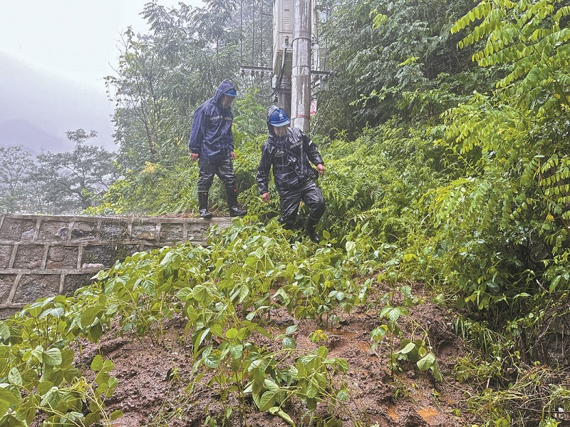 公司视频连线基层单位